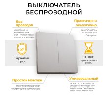 Выключатель беспроводной двухклавишный Feron TM82 41720