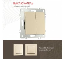 Выключатель двухклавишный Arte Milano 206.30-2.shampan