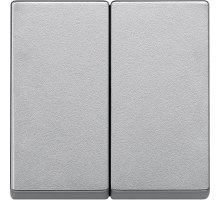 Клавиша двойная Schneider Electric Merten System M MTN433560