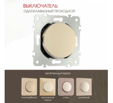 Выключатель одноклавишный проходной Arte Milano 202.32-1.shampan