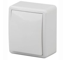 Выключатель одноклавишный ЭРА Эксперт 10AX 250V 11-1201-01 Б0020653