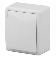 Выключатель одноклавишный ЭРА Эксперт 10AX 250V 11-1201-01 Б0020653