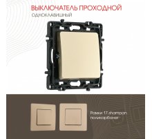 Выключатель одноклавишный проходной Arte Milano 217.32-1.shampan