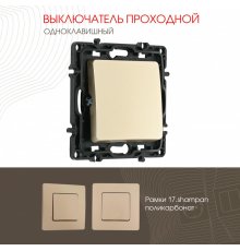Выключатель одноклавишный проходной Arte Milano 217.32-1.shampan