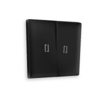 Лицевая панель для выключателя двухклавишного с подсветкой Ambrella Volt Alfa AP8040