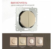 Выключатель двухклавишный проходной Arte Milano 202.32-2.shampan