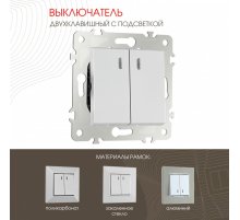 Выключатель двухклавишный с подсветкой Arte Milano 203.31-2.silver