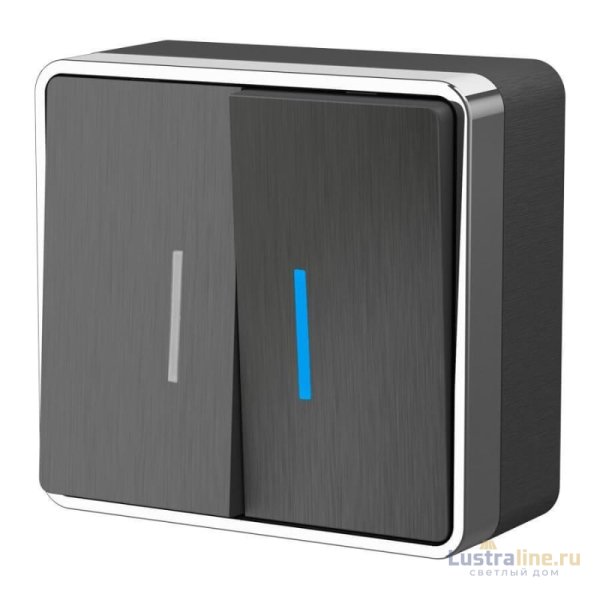 Выключатель двухклавишный с подсветкой Werkel Gallant графит рифленый W5020104 4690389164194