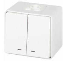 Выключатель двойной с подсветкой Эра Elegance Эксперт 11-1505-01 Б0063282