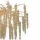Потолочная люстра Vitaluce V28550-8/7PL