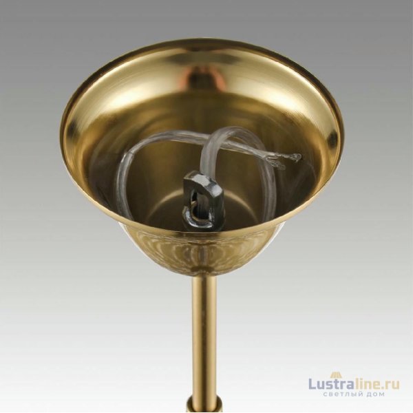 Подвесная люстра Lumion Kristina 8243/8