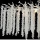 Подвесная люстра Reluce 33001-0.4-1000 CH