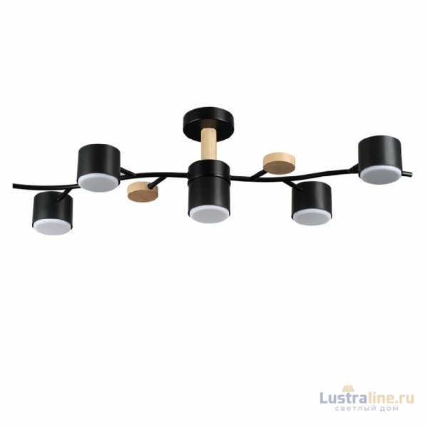 Люстра на штанге Lumion Crypto 8194/5C