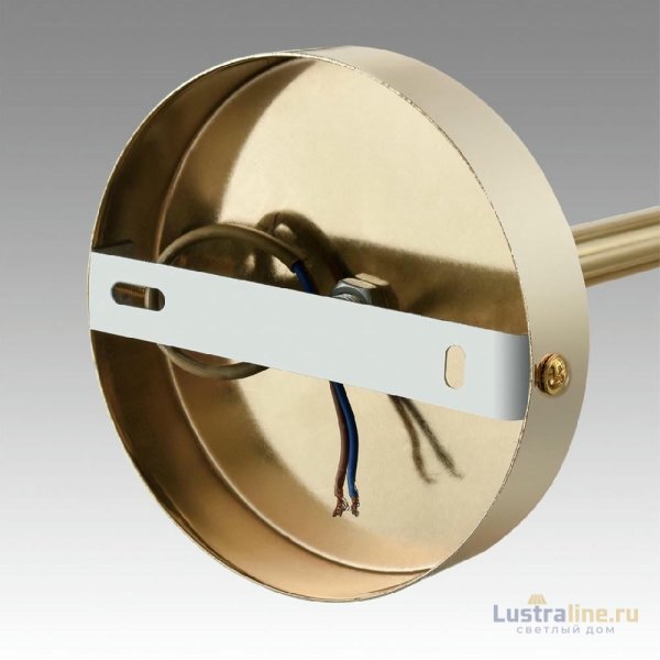 Люстра на штанге Lumion Kassia 6586/10