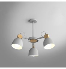Люстра на штанге ImperiumLoft Rolla 101991-26