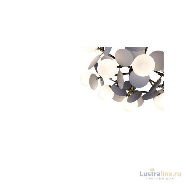 Люстра на штанге Zortes Floret ZRS.01201.12 Люстра на штанге Zortes Floret ZRS.01201.12