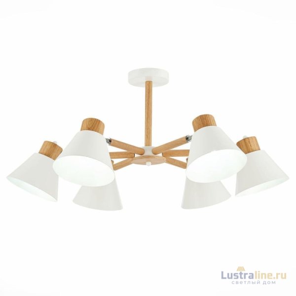 Потолочная люстра Evoluce Buve SLE103702-06