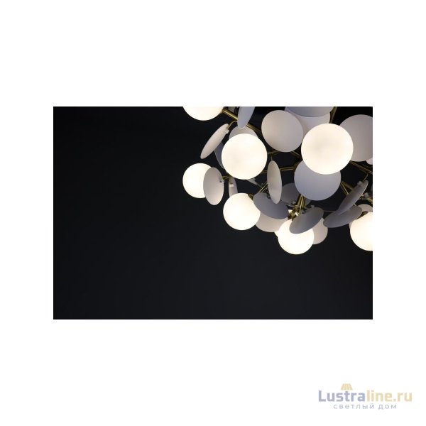 Люстра на штанге Zortes Floret ZRS.01201.12 Люстра на штанге Zortes Floret ZRS.01201.12