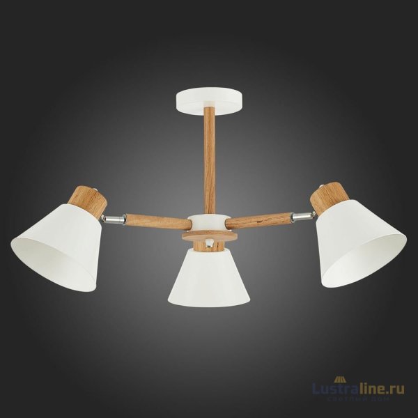 Потолочная люстра Evoluce Buve SLE103702-03