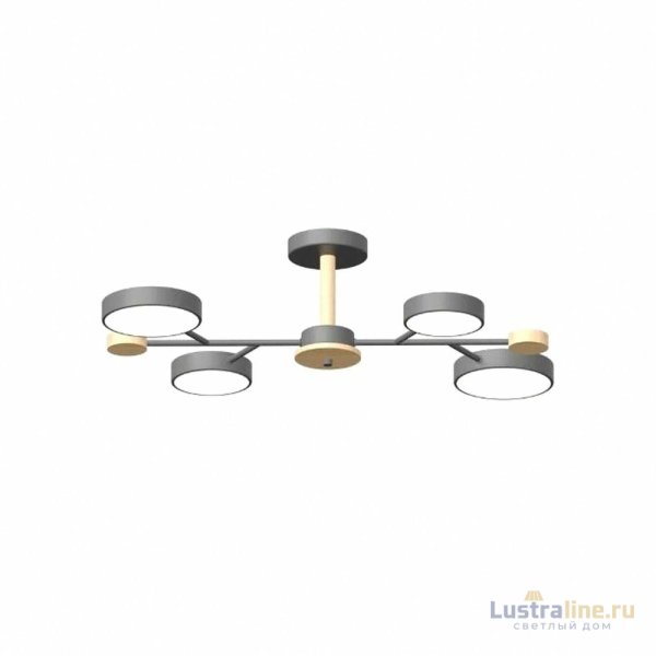 Люстра на штанге LED4U L3213-670 GR
