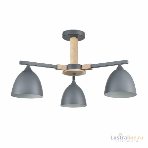 Люстра на штанге Lumion Colange 8096/3C