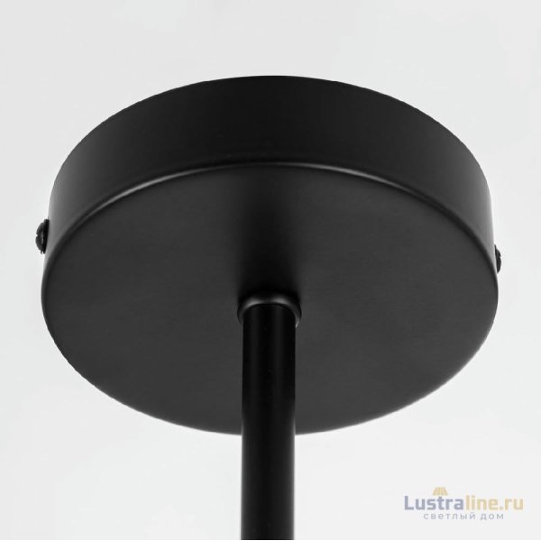 Люстра на штанге Citilux Fisher CL218163