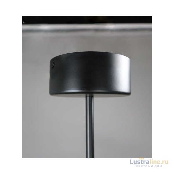 Люстра на штанге Zortes Lunar ZRS.01243.04 Люстра на штанге Zortes Lunar ZRS.01243.04