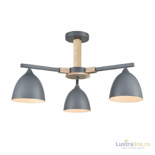 Люстра на штанге Lumion Colange 8096/3C