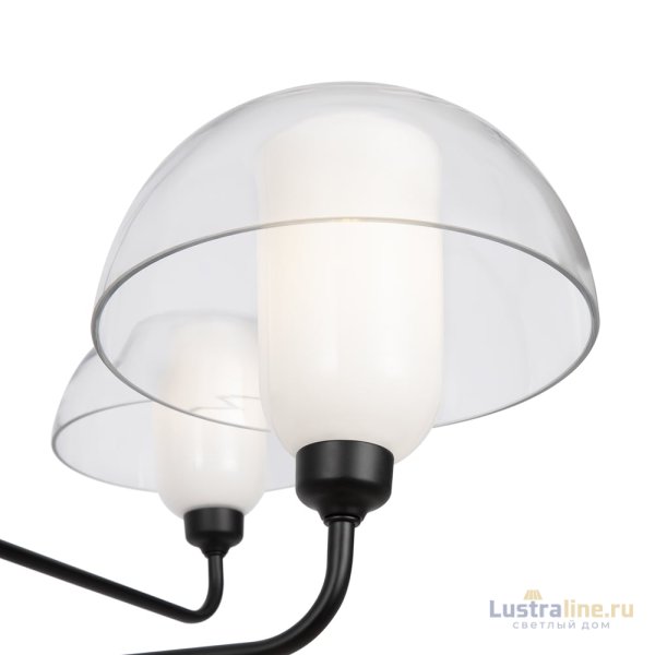 Люстра на штанге Maytoni Memory MOD177PL-04B