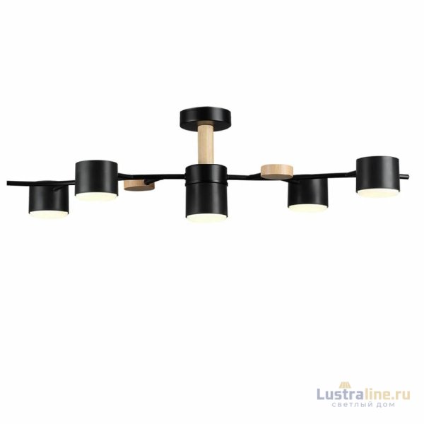 Люстра на штанге Lumion Crypto 8194/5C