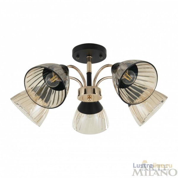 Люстра на штанге Arte Milano Napoli 320119/5 FG+BK Люстра на штанге Arte Milano Napoli 320119/5 FG+BK