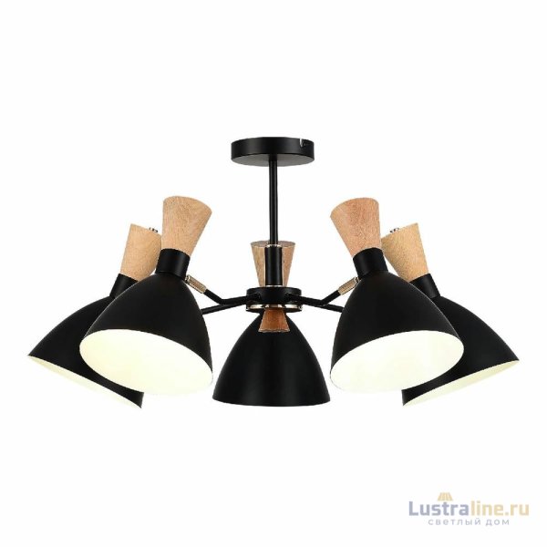 Люстра на штанге Evoluce Vista SLE1256-402-05