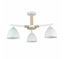 Люстра на штанге Lumion Colange 8095/3C