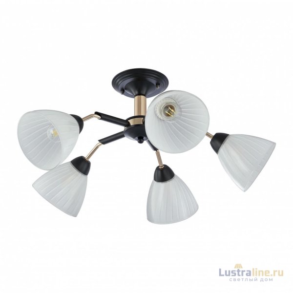 Люстра на штанге Arte Milano Napoli 324108/5 BK+FG Люстра на штанге Arte Milano Napoli 324108/5 BK+FG