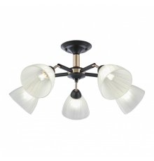 Люстра на штанге Arte Milano Napoli 324108/5 BK+FG