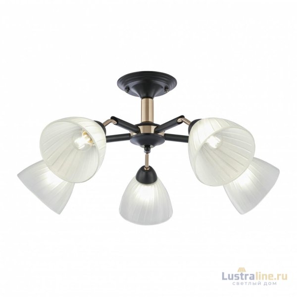 Люстра на штанге Arte Milano Napoli 324108/5 BK+FG Люстра на штанге Arte Milano Napoli 324108/5 BK+FG
