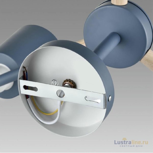 Люстра на штанге Lumion Rosalina 8098/6C Люстра на штанге Lumion Rosalina 8098/6C