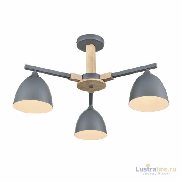 Люстра на штанге Lumion Colange 8096/3C