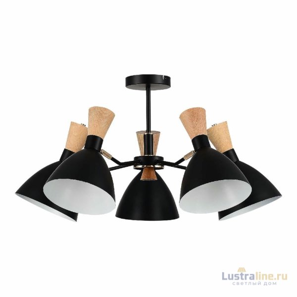 Люстра на штанге Evoluce Vista SLE1256-402-05
