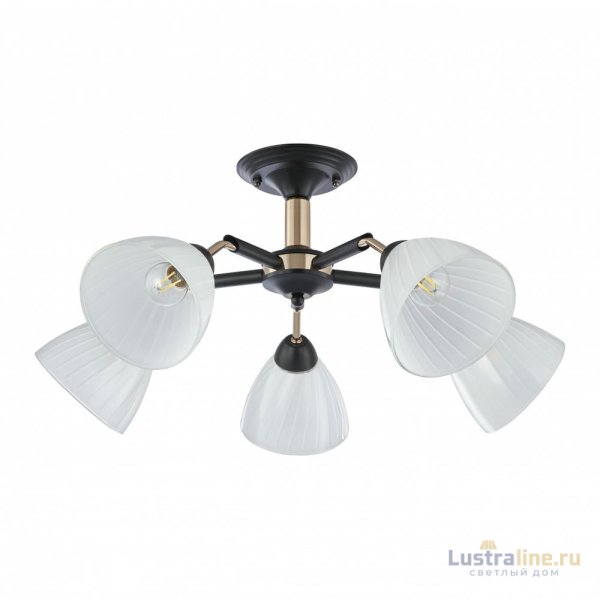 Люстра на штанге Arte Milano Napoli 324108/5 BK+FG Люстра на штанге Arte Milano Napoli 324108/5 BK+FG
