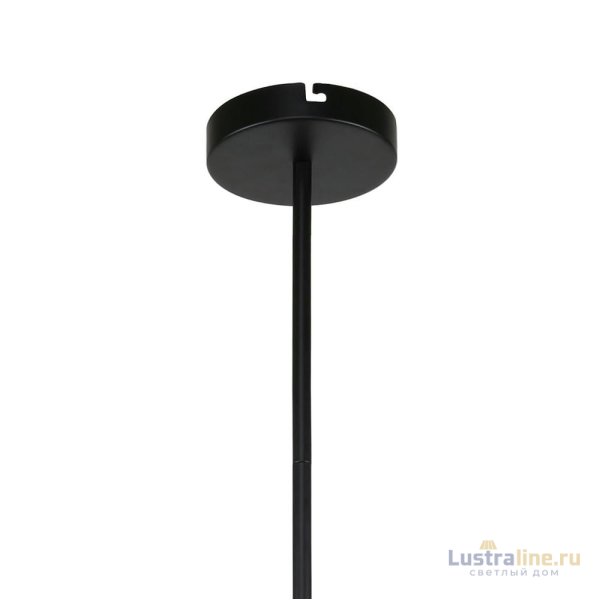 Люстра на штанге F-Promo Sheeny 3088-6P