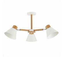 Потолочная люстра Evoluce Buve SLE103702-03