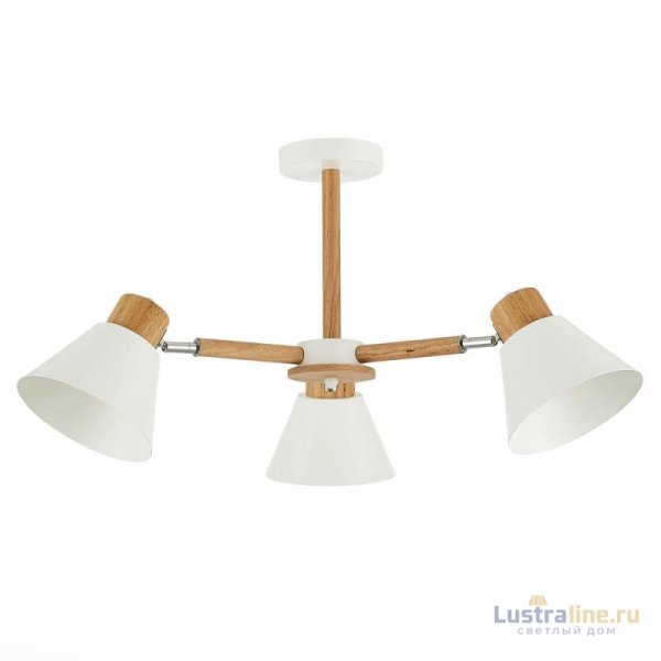 Потолочная люстра Evoluce Buve SLE103702-03