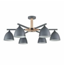 Люстра на штанге Lumion Colange 8096/6C