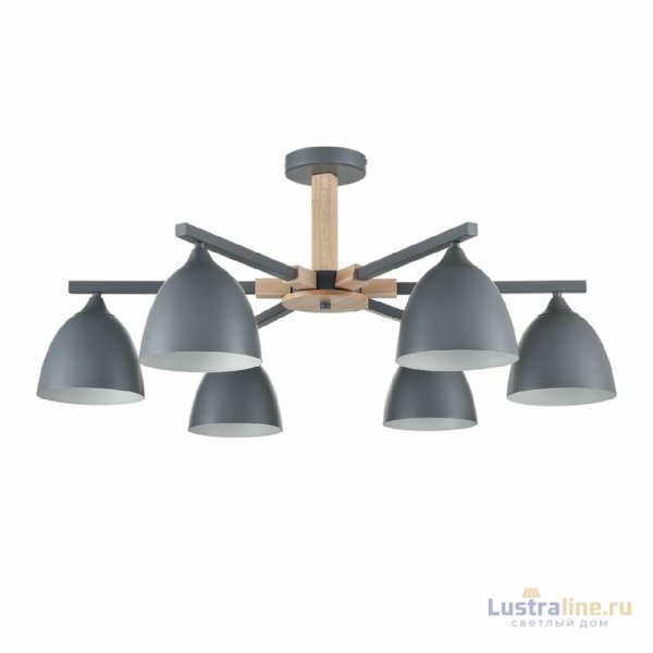 Люстра на штанге Lumion Colange 8096/6C