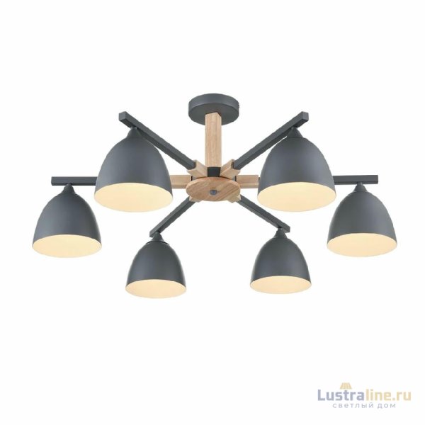 Люстра на штанге Lumion Colange 8096/6C