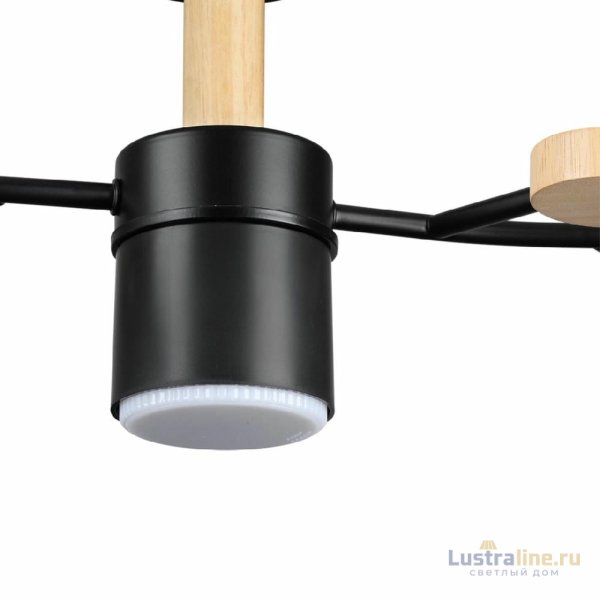 Люстра на штанге Lumion Crypto 8194/5C
