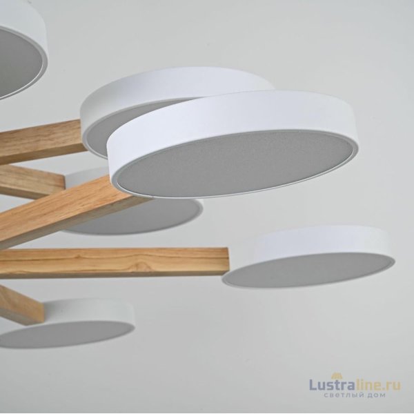 Люстра на штанге ImperiumLoft Turna Dbl 229080-26