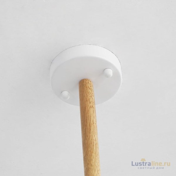 Люстра на штанге ImperiumLoft Formula 207821-26