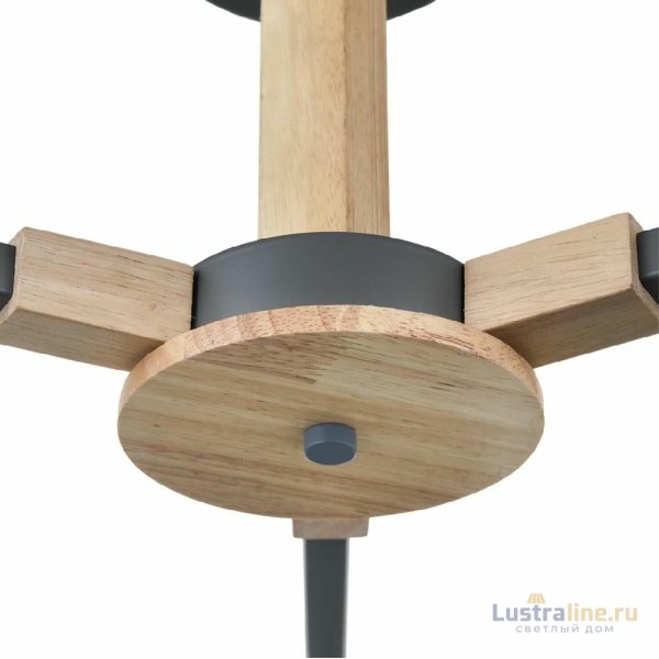 Люстра на штанге Lumion Colange 8096/3C